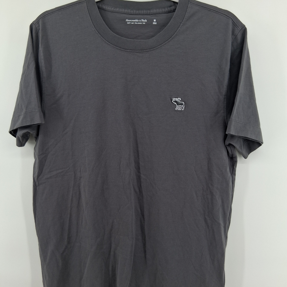 Abercrombie & Fitch Men's Short Sleeve Crew Neck T-Shirt - Charcoal Gray